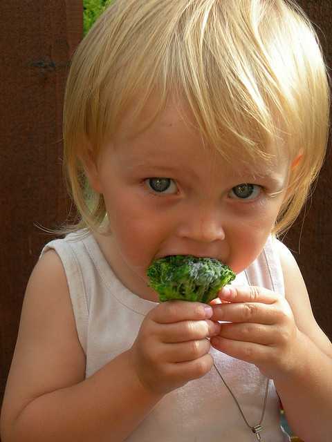 2384113340_9196ffa1eb_z.jpg 1. The website sheknows.com suggests enforcing a 'No thank you bite' rule. The rule means you can take one bite and no more if you don't like it. Encouraging kids to taste new fruits and vegetables is better than forcing them to eat an entire serving of something they hate.