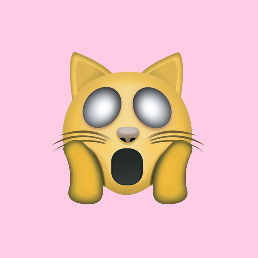 Emoji Meanings